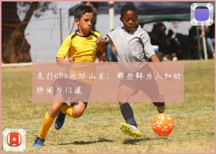 虎扑cba论坛山东：那些鲜为人知的热闹与门道