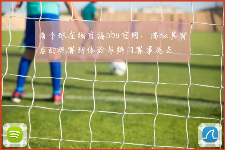 看个球在线直播nba官网，揭秘其背后的观赛新体验与热门赛事亮点