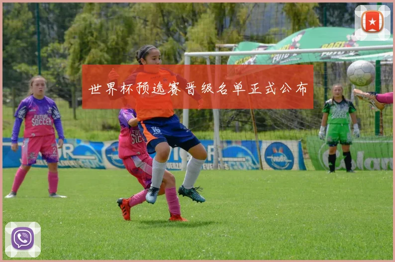 世界杯预选赛晋级名单正式公布