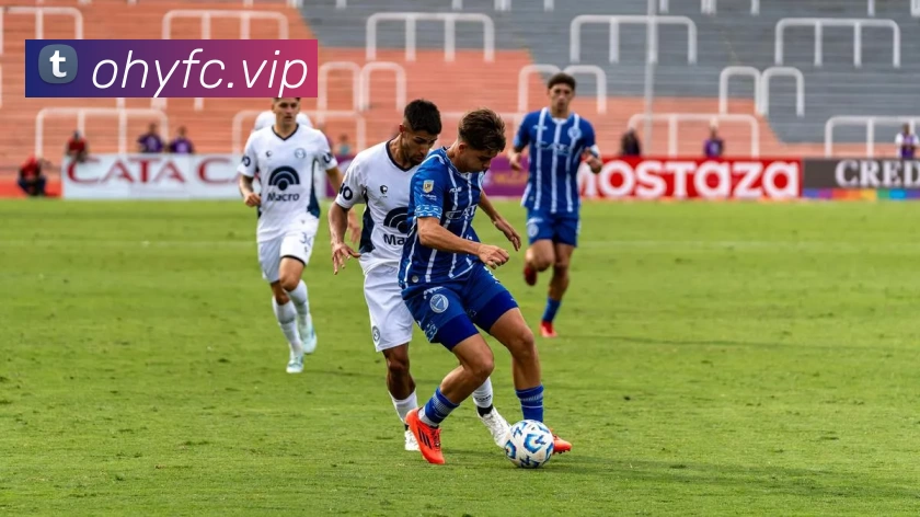 App Interface Preview