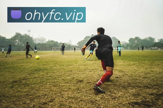 云开(Kaiyun科技发展有限公司)中国大陆·官方网站APP 封面图